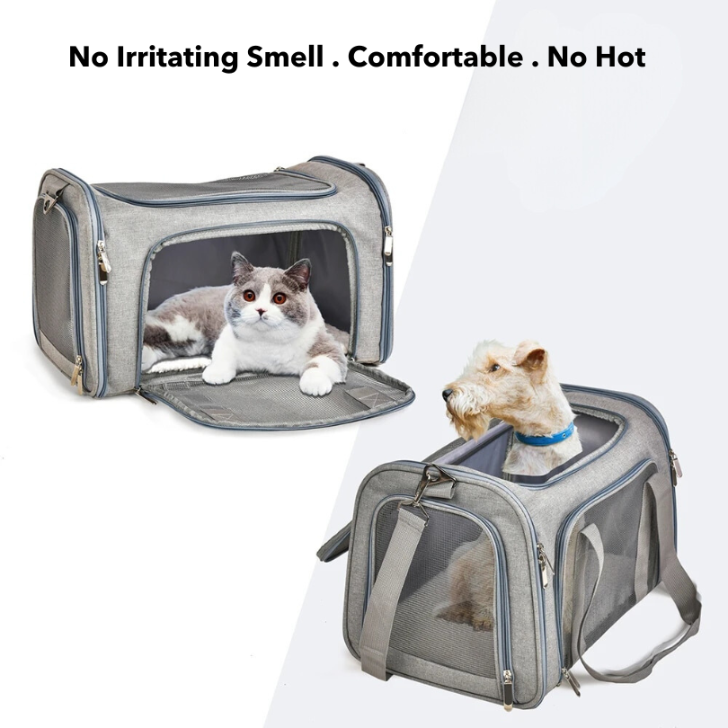 Sac de Transport pour Chats et Petits Chiens - Sûr, Confortable, Durable et Léger