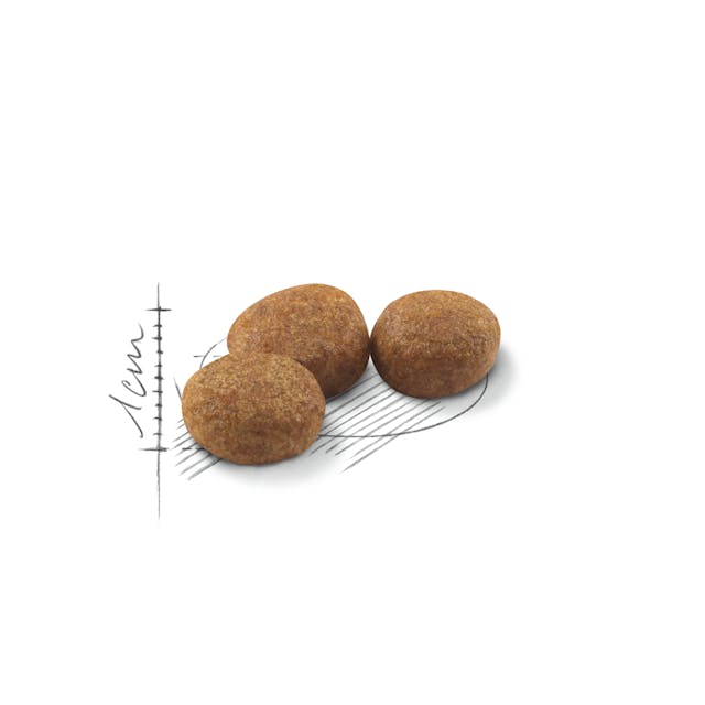 Royal Canin Sterilised 37 - Balanced Dry Cat Food for Neutered Cats (2 kg)