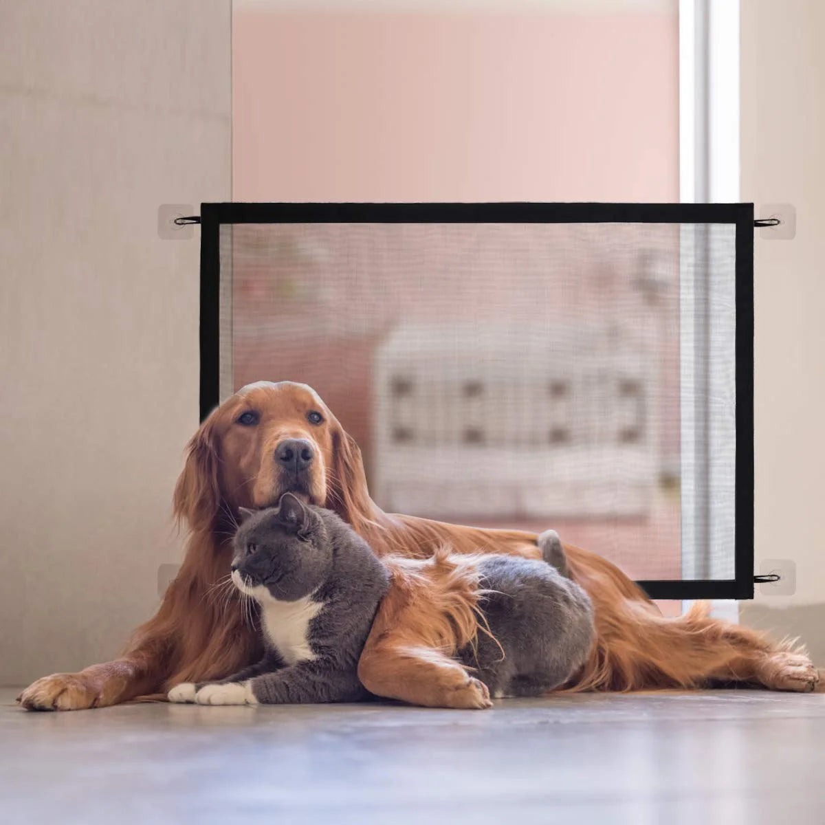 Jouet pour chien Senrusa – Ventouse, balle distributrice et entraînement à tirer