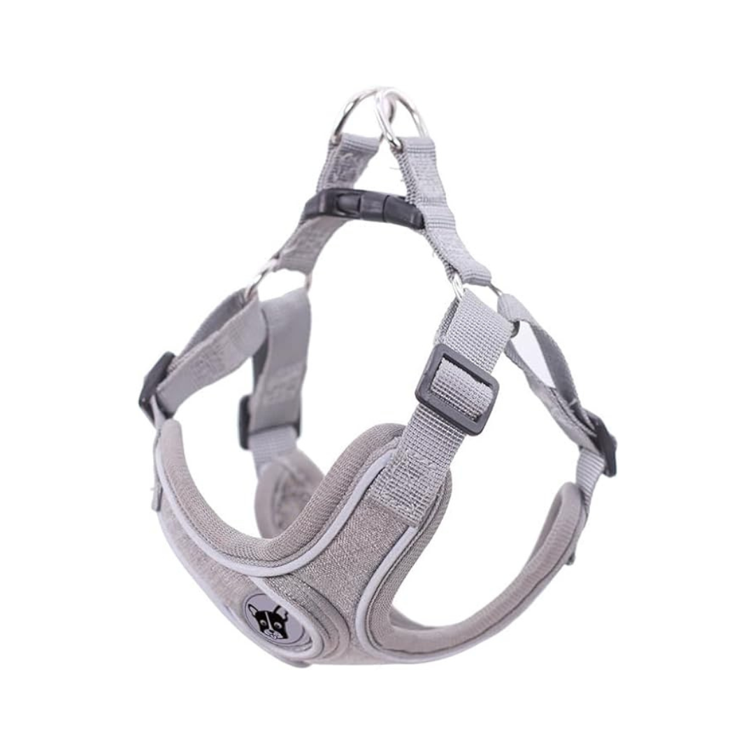 Harnais et laisse pour chien - Ajustement personnalisable
