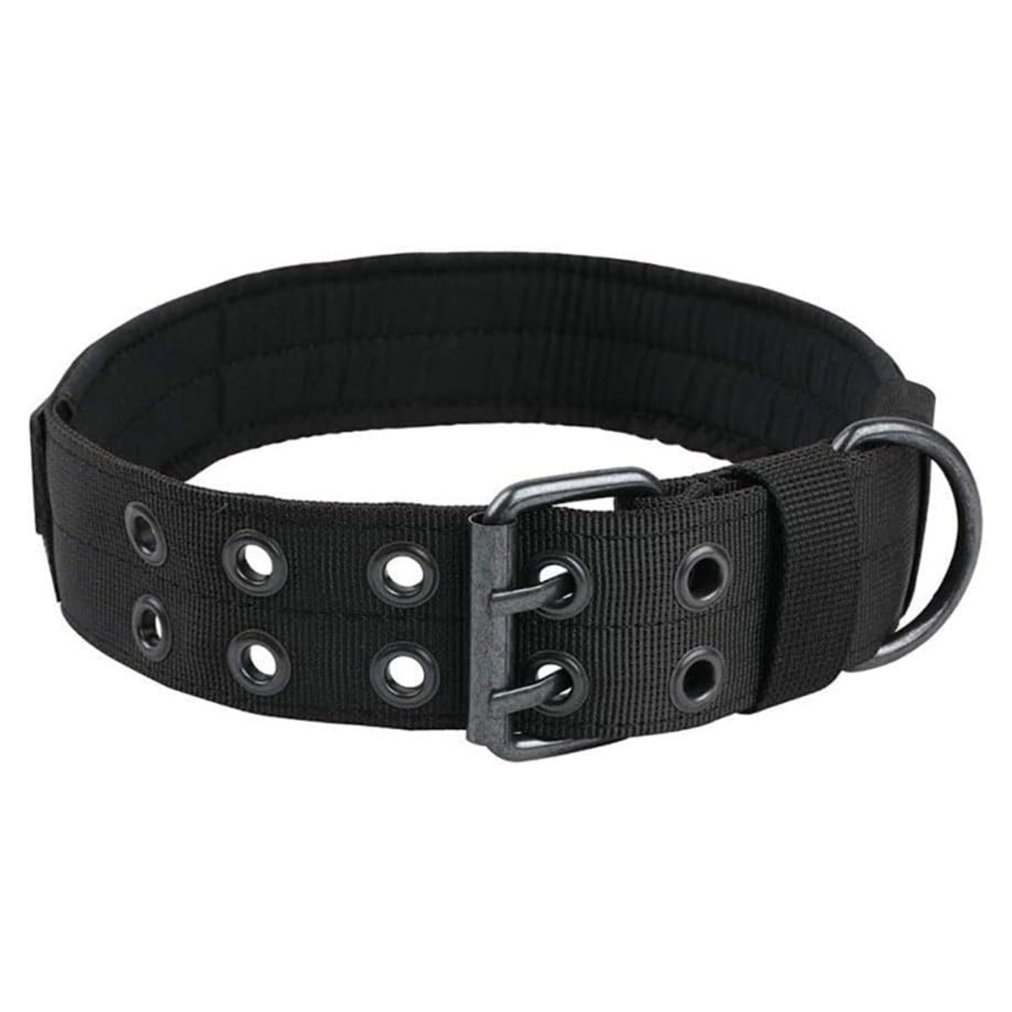 Collier pour Grands Chiens – Nylon Résistant avec Boucle Métallique