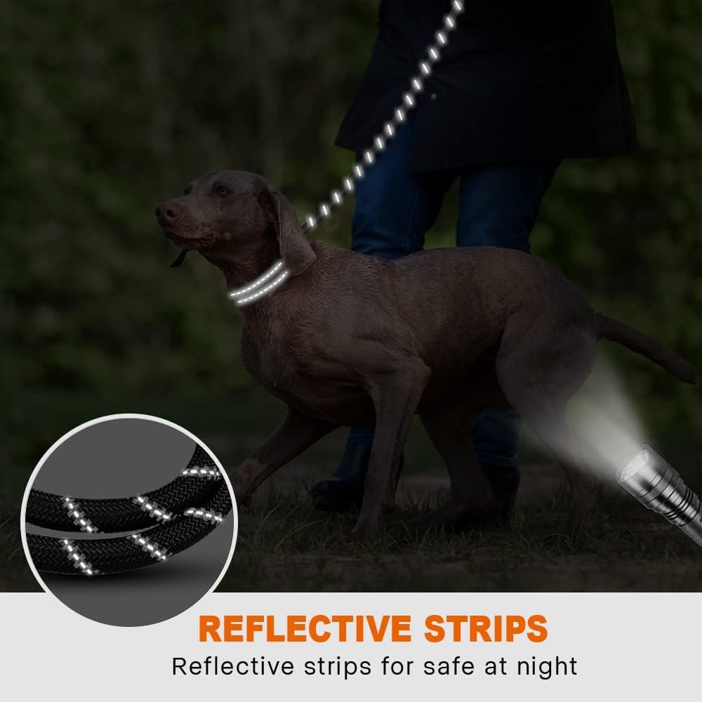 Laisse pour chien – Durable et confortable