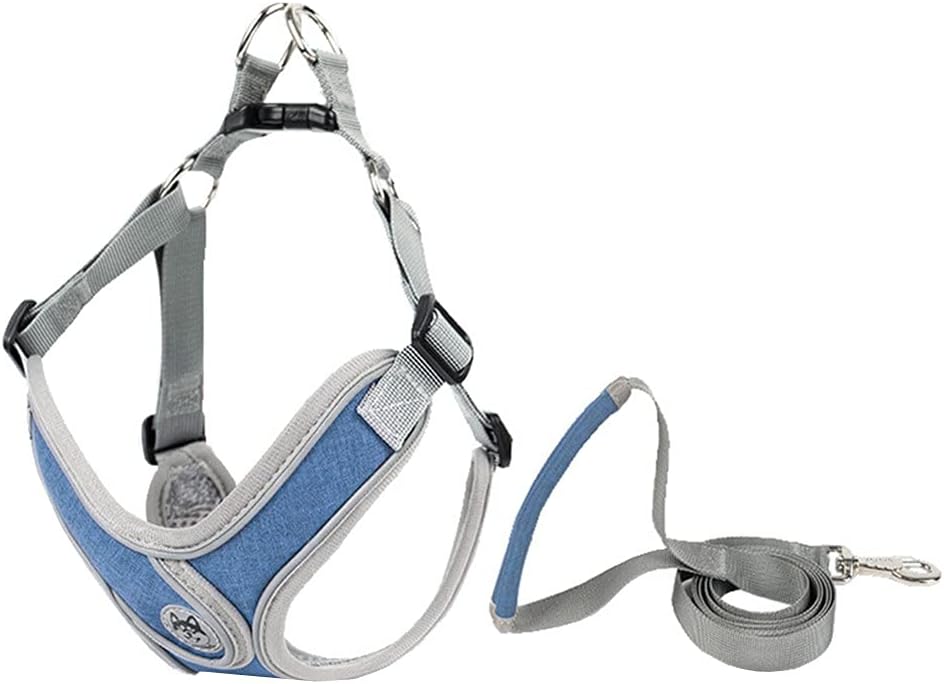 Harnais et laisse pour chien - Ajustement personnalisable