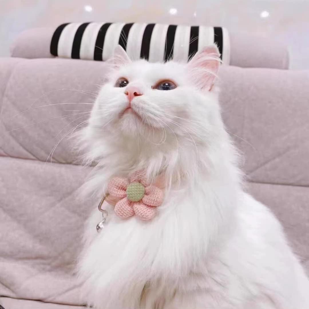 Collier de Chat Sécurité avec Clochette – Réglable & Mignon