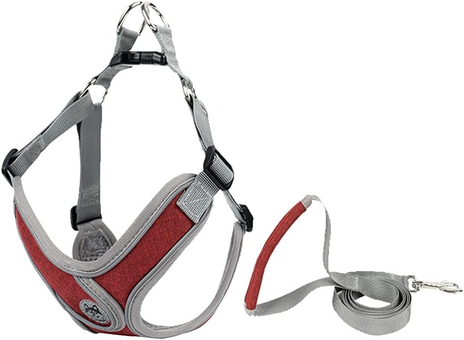 Harnais et laisse pour chien - Ajustement personnalisable