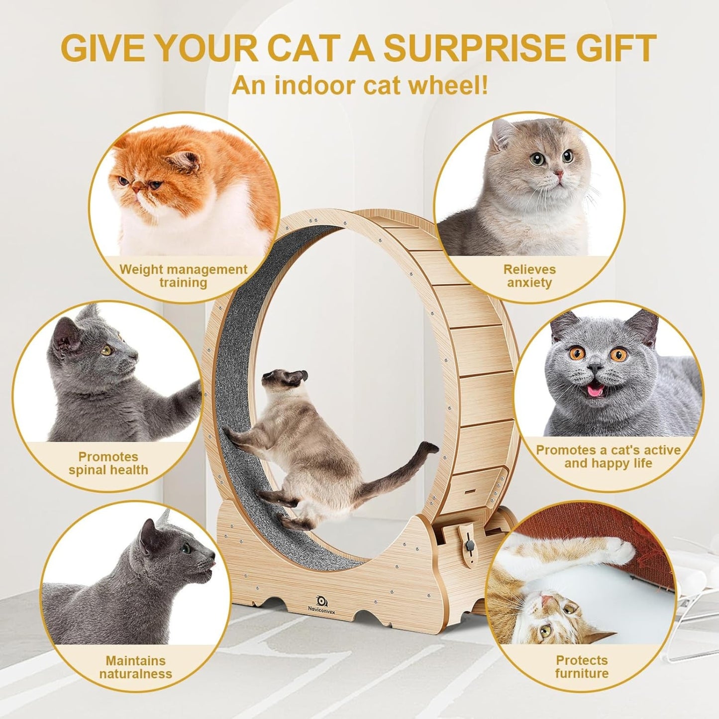 Roue d’Exercice pour Chat – Tapis de Course Intérieur