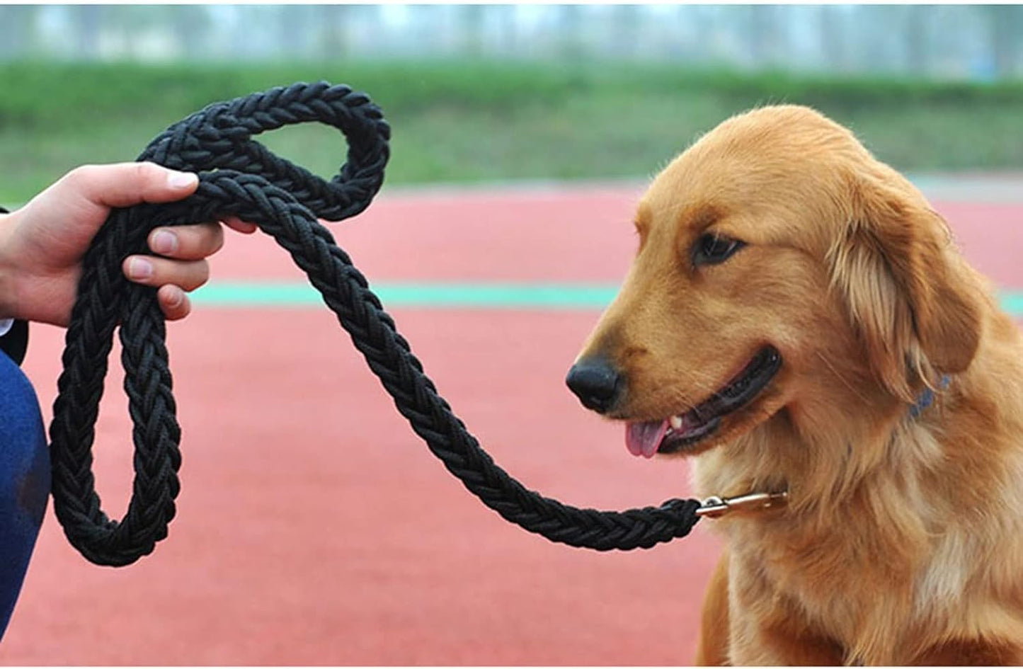 Laisse Solide pour Chien – Corde Renforcée de 120 cm pour Chiens Moyens à Très Grands