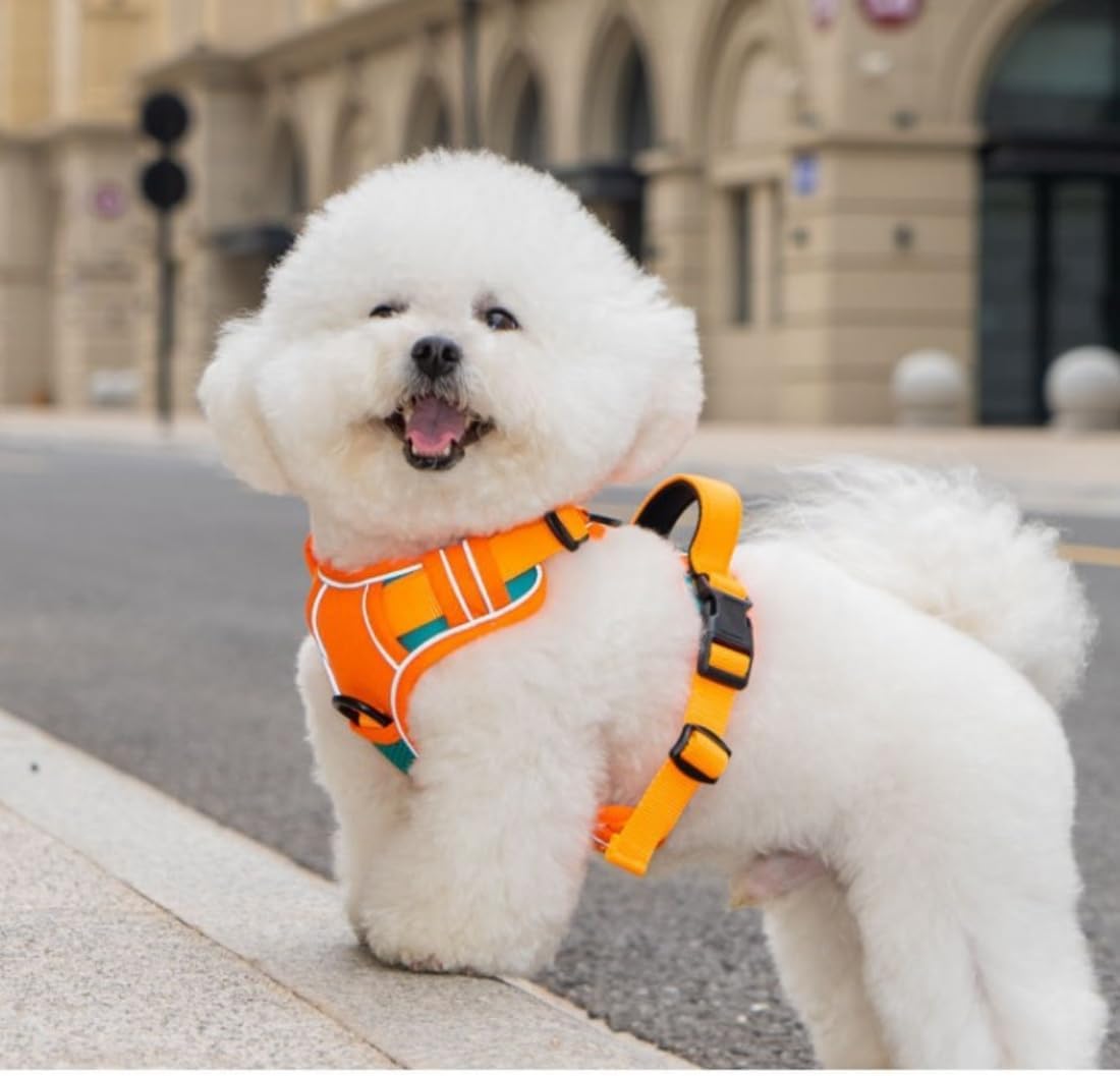 No-Pull Dog Harness & Rope Leash Set – Adjustable & Reflective