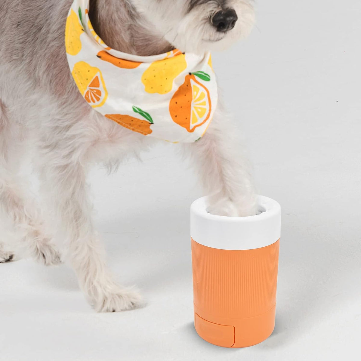 Nettoyeur de Pattes pour Chien – Gobelet avec Brosses Souples