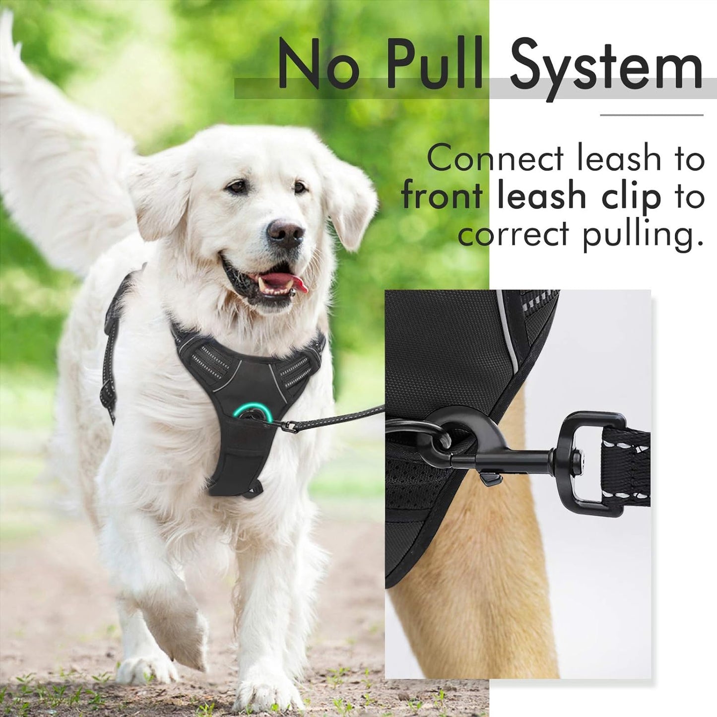 Harnais pour chiens de taille grande