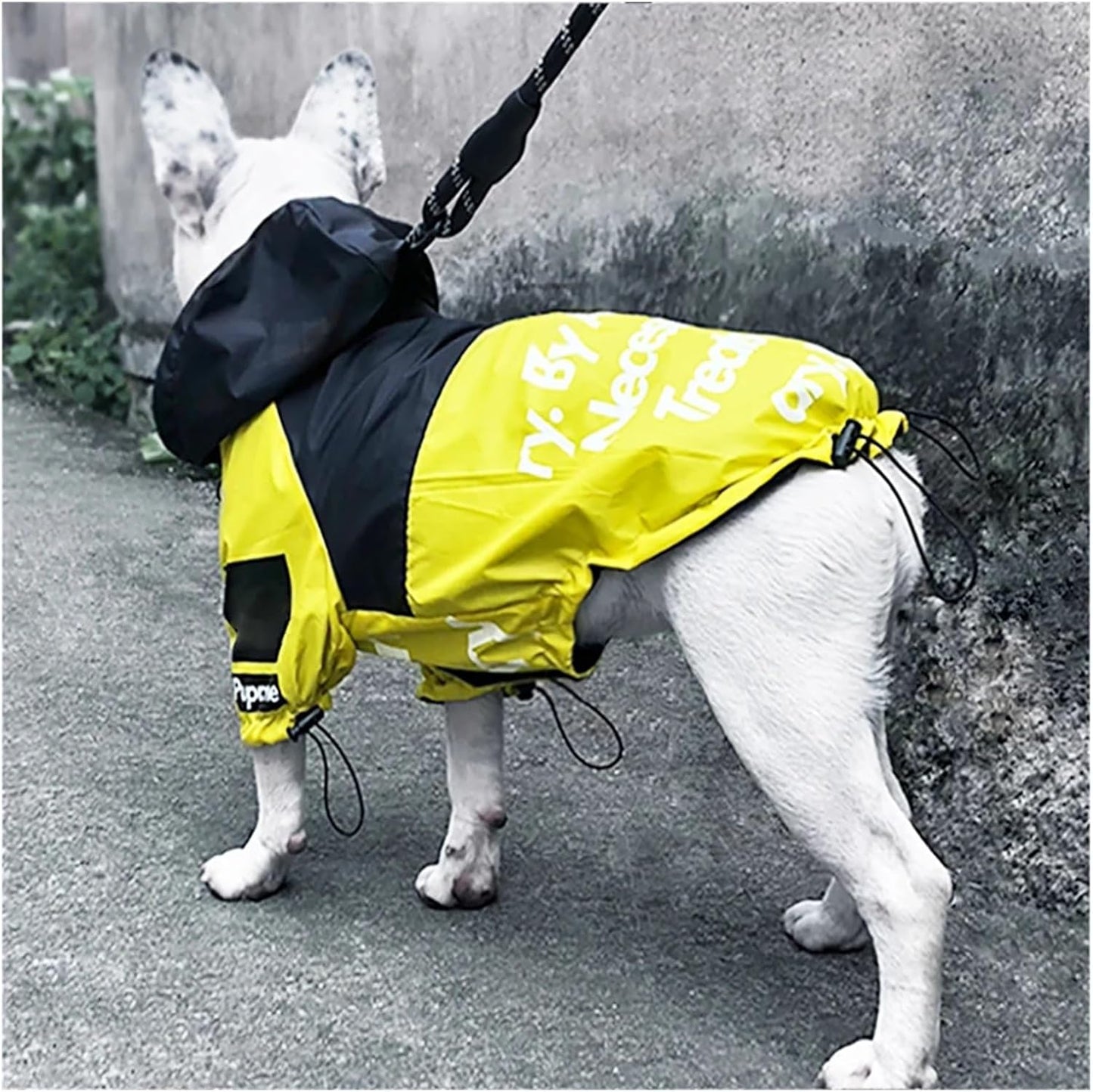 Manteau Imperméable pour Chien – Veste Extérieure Réfléchissante avec Capuche