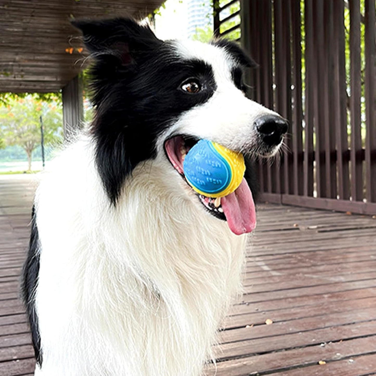 Balle à Mâcher Interactive pour Chien – Jouet Squeaky en Caoutchouc Résistant