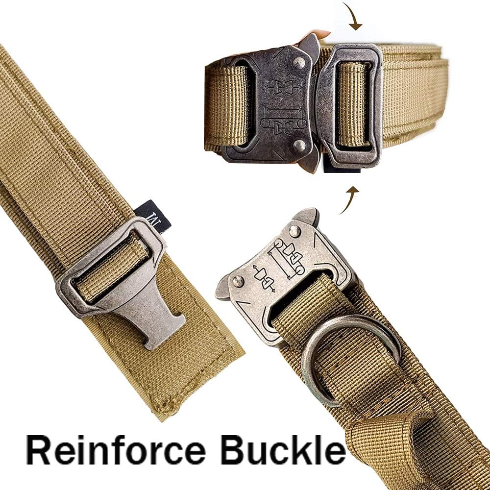 Collier pour chien robuste et confortable
