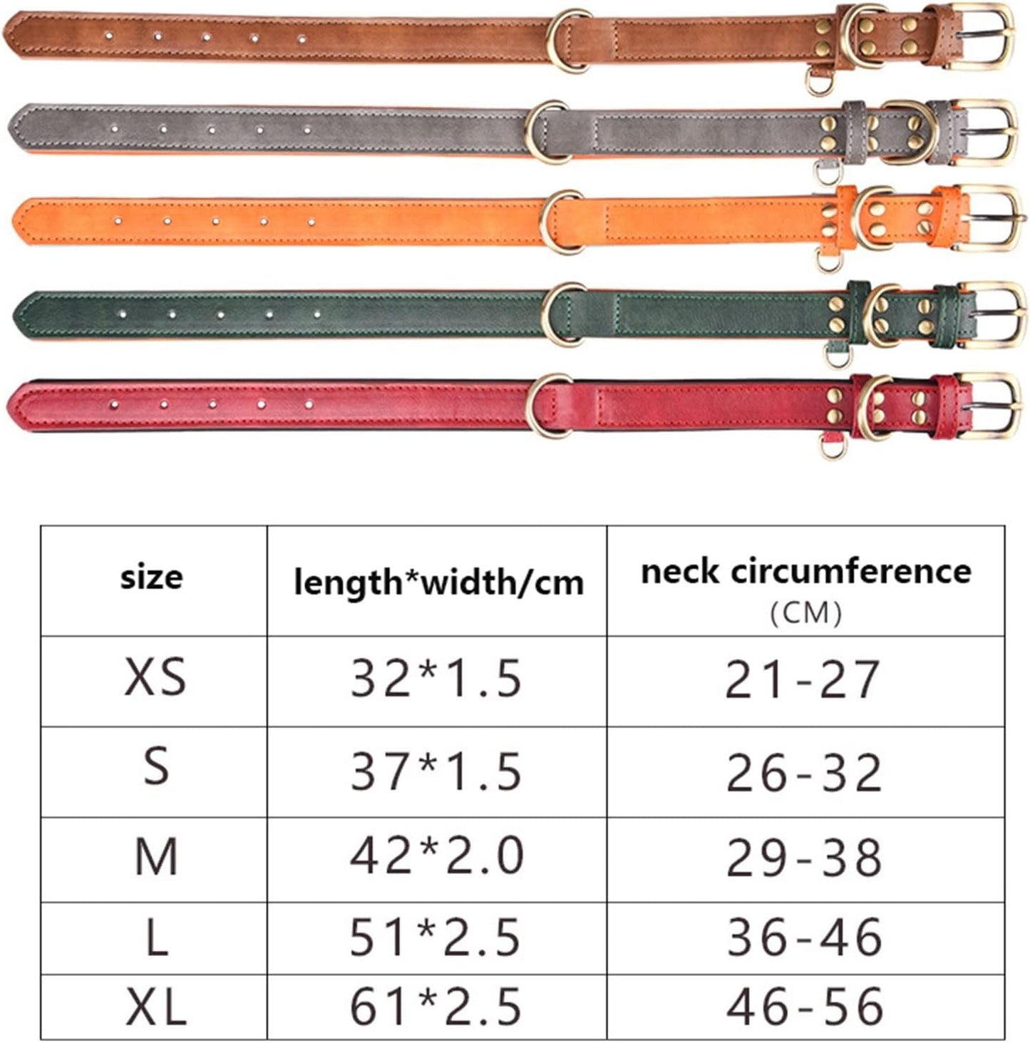 Collier pour Chien en Cuir – Réglable, Rembourré et Résistant avec Anneau en D