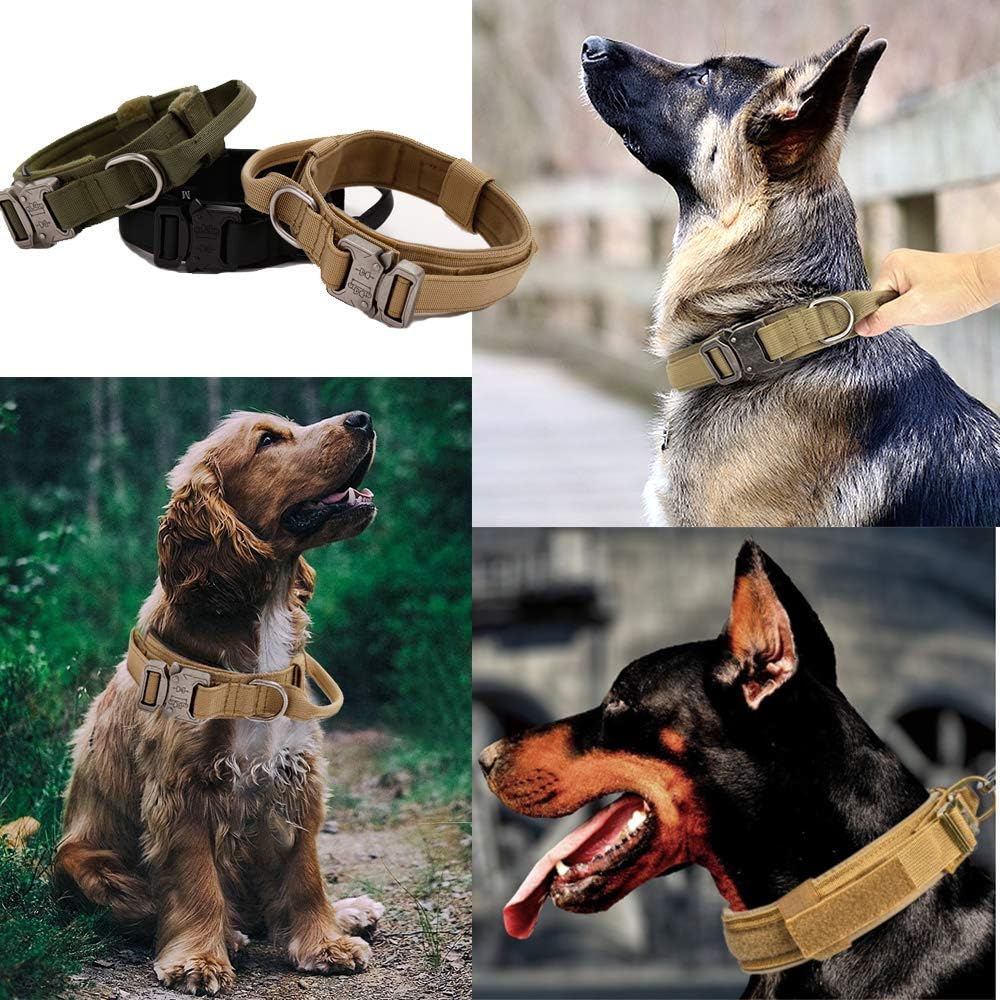 Collier pour chien robuste et confortable