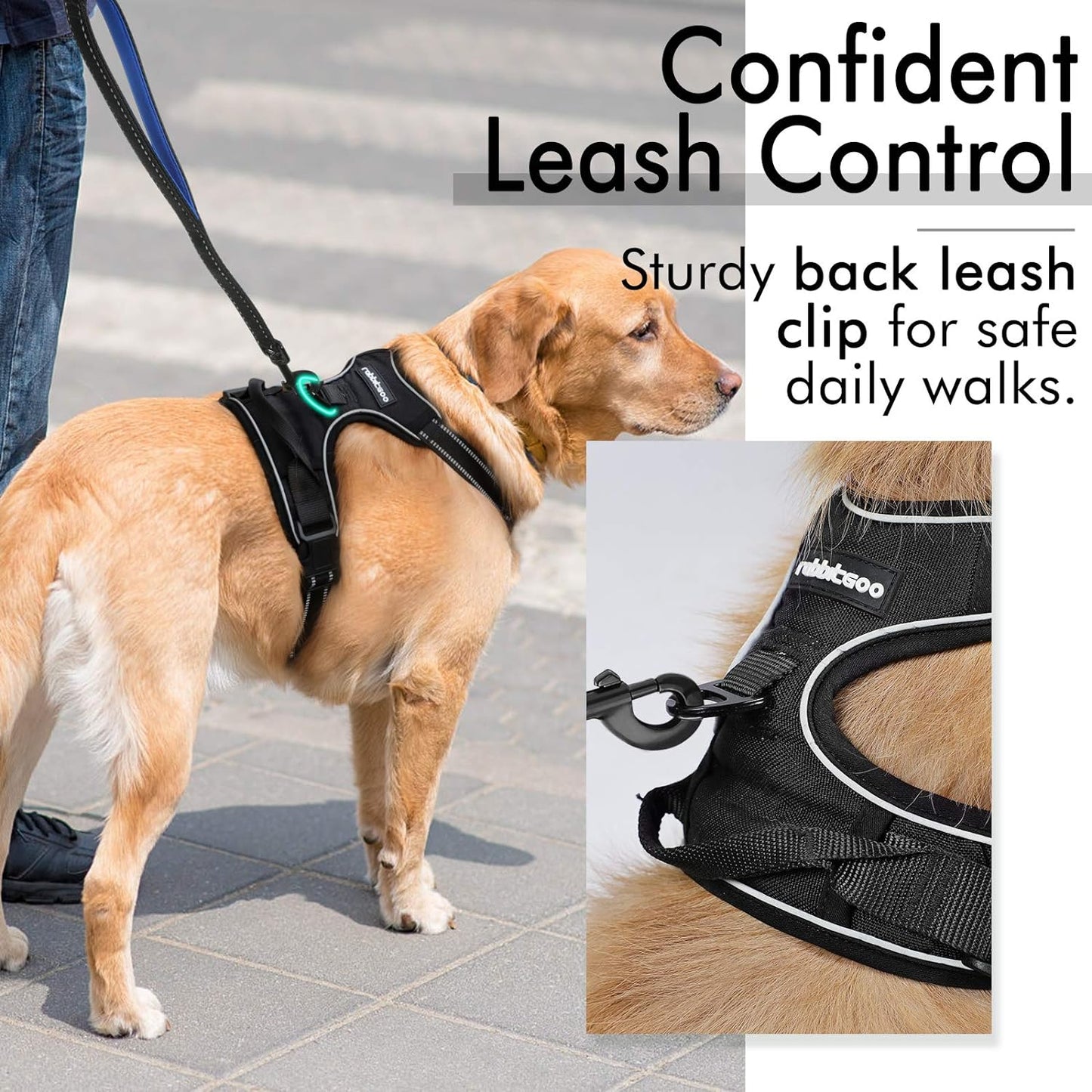 Harnais pour chiens de taille grande