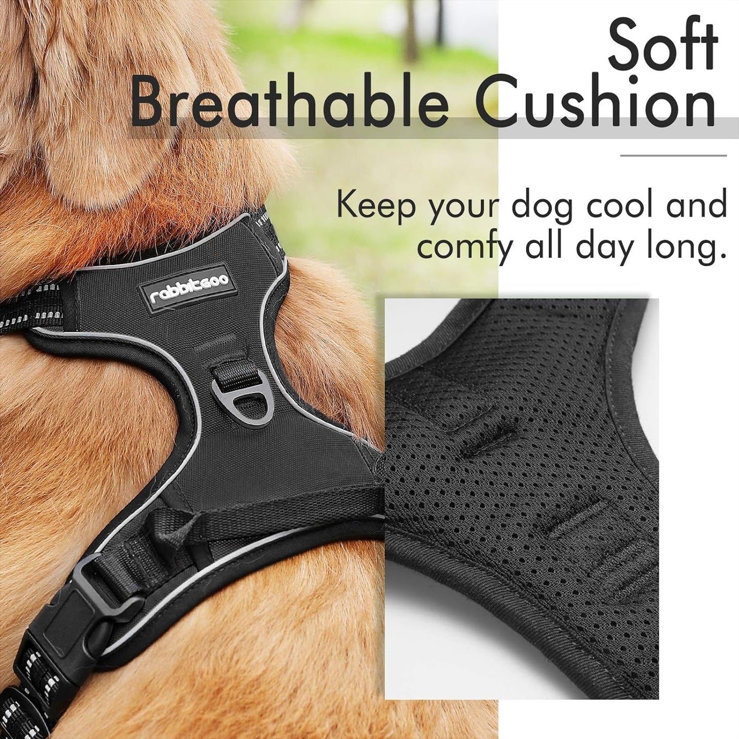 Harnais pour chiens de taille grande