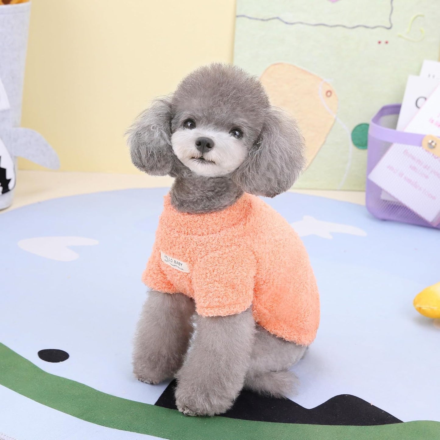 Pull pour Chien en Polaire – Chaud, Léger & Extensible