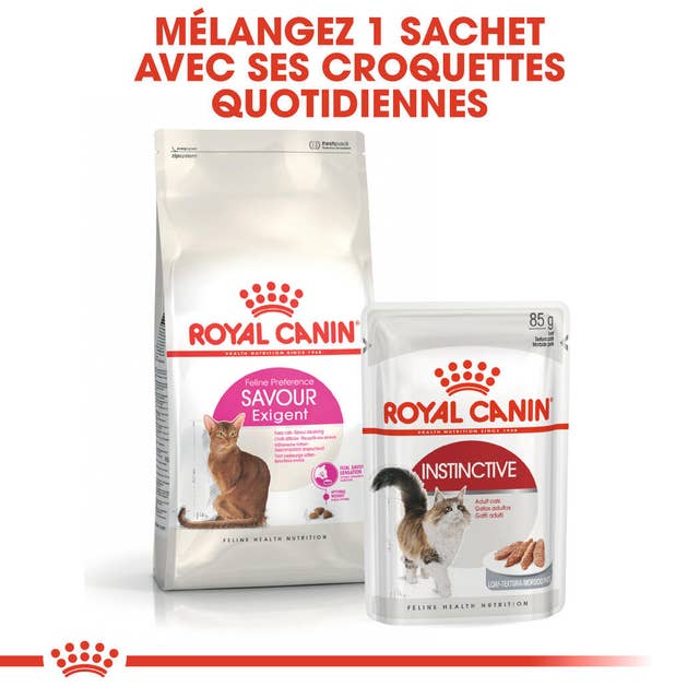Royal Canin Savour Exigent – Kibble for Picky Cats