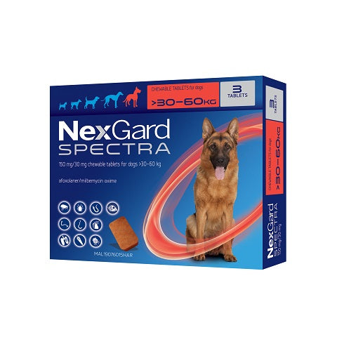 NexGard Spectra – Protection à large spectre pour chiens – Toutes tailles
