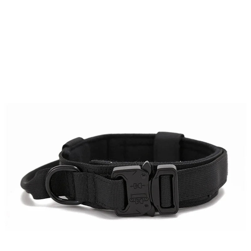 Collier pour chien robuste et confortable
