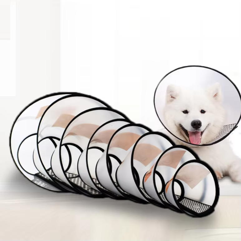 Colerette de Récupération Ajustable – 7 Tailles pour Chiens et Chats (15–46 cm)