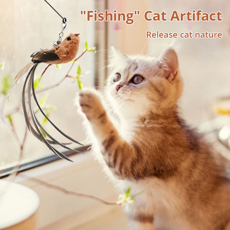 Teaser interactif pour chat Feather Frenzy