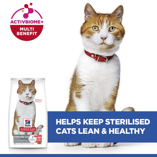 Hill’s Croquettes Chat Science Plan Stérilisé Adulte (1–6 ans) Saumon