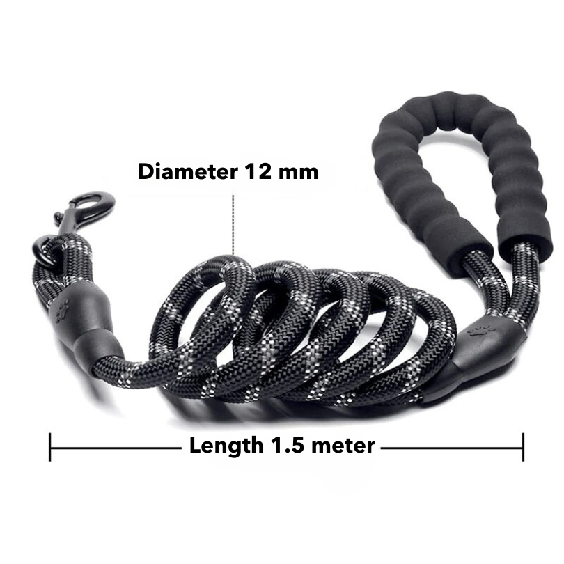Laisse pour chien – Durable et confortable