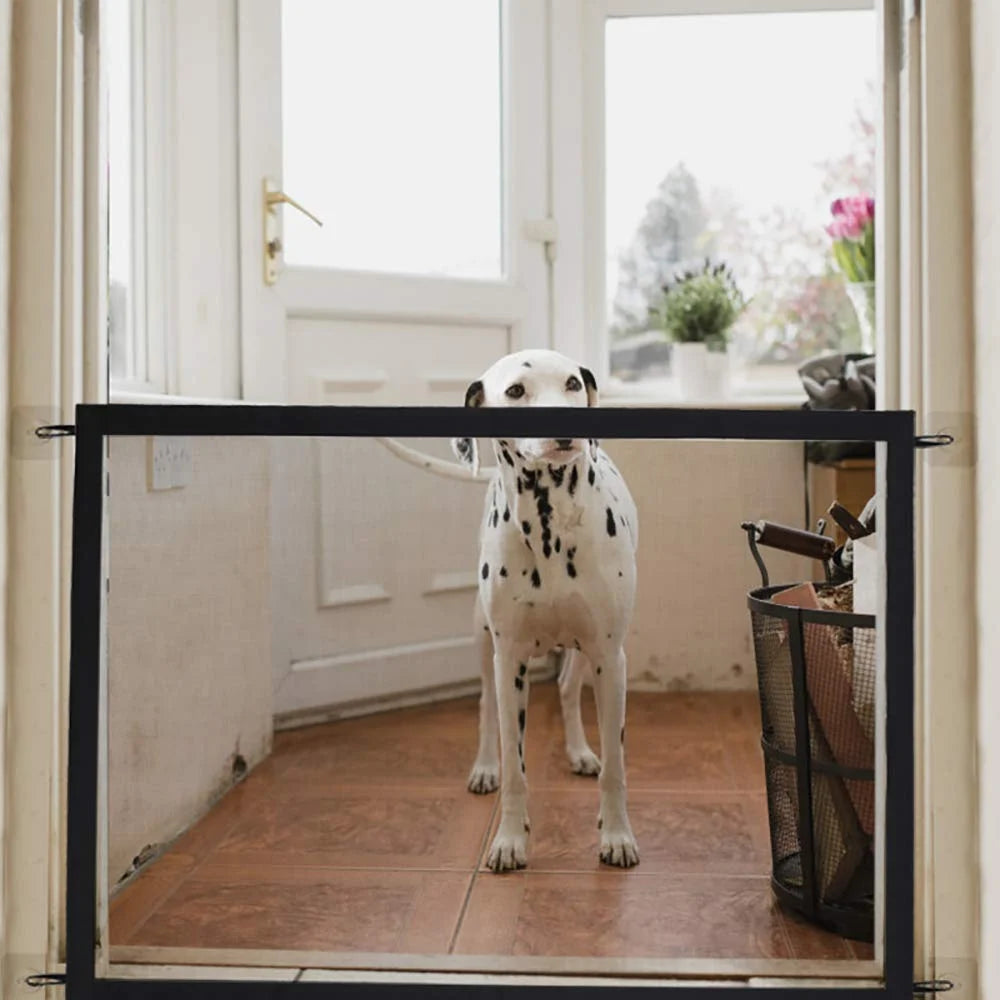 Jouet pour chien Senrusa – Ventouse, balle distributrice et entraînement à tirer