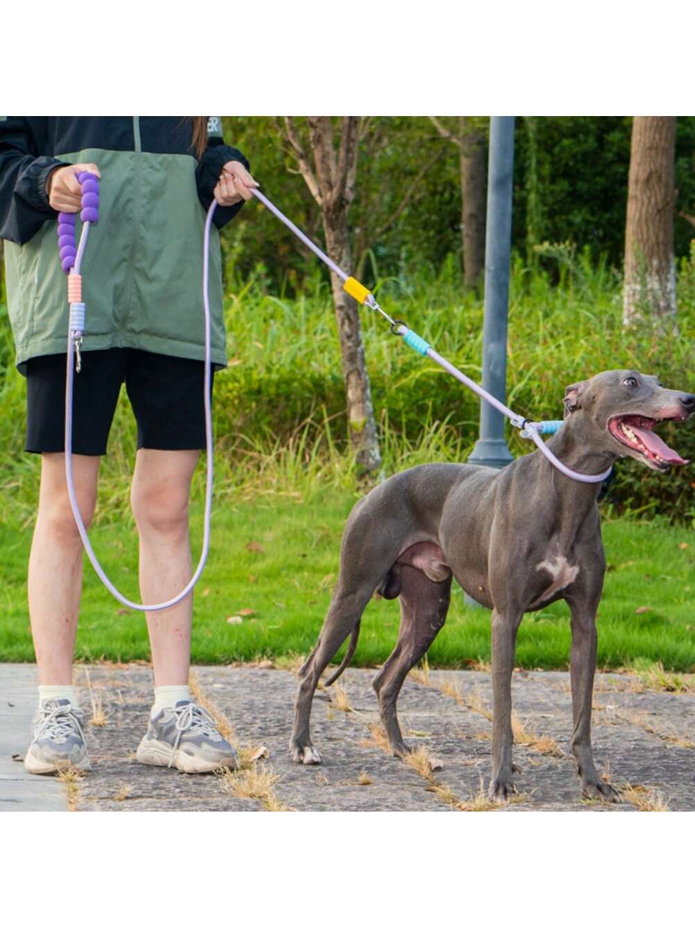Hands-Free Dog Slip Leash – Adjustable Training Lead with Soft Handle
