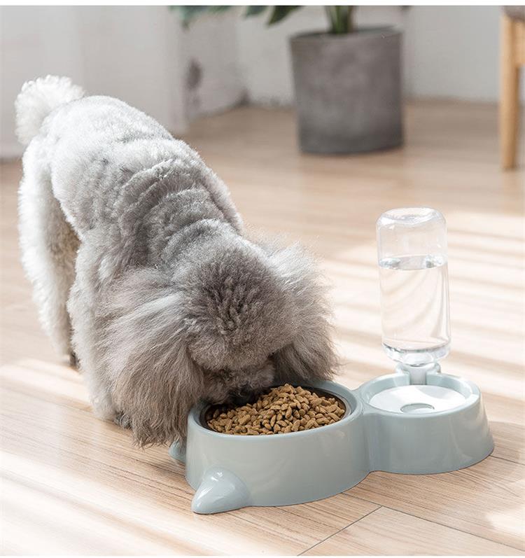 Mangeoire Automatique pour Chat et Chien - Distributeur de Nourriture et d'Eau