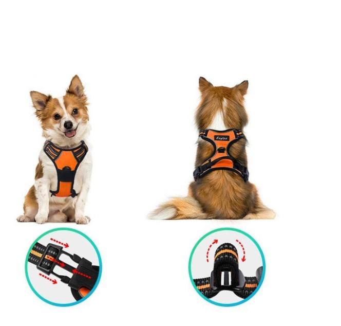 Harnais pour chiens de taille grande