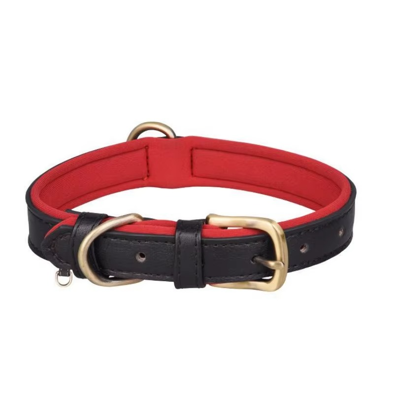 Collier pour Chien en Cuir – Réglable, Rembourré et Résistant avec Anneau en D