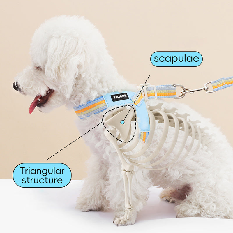 Soft Dog Harness & Leash Set – Adjustable Padded for Dogs & Cats