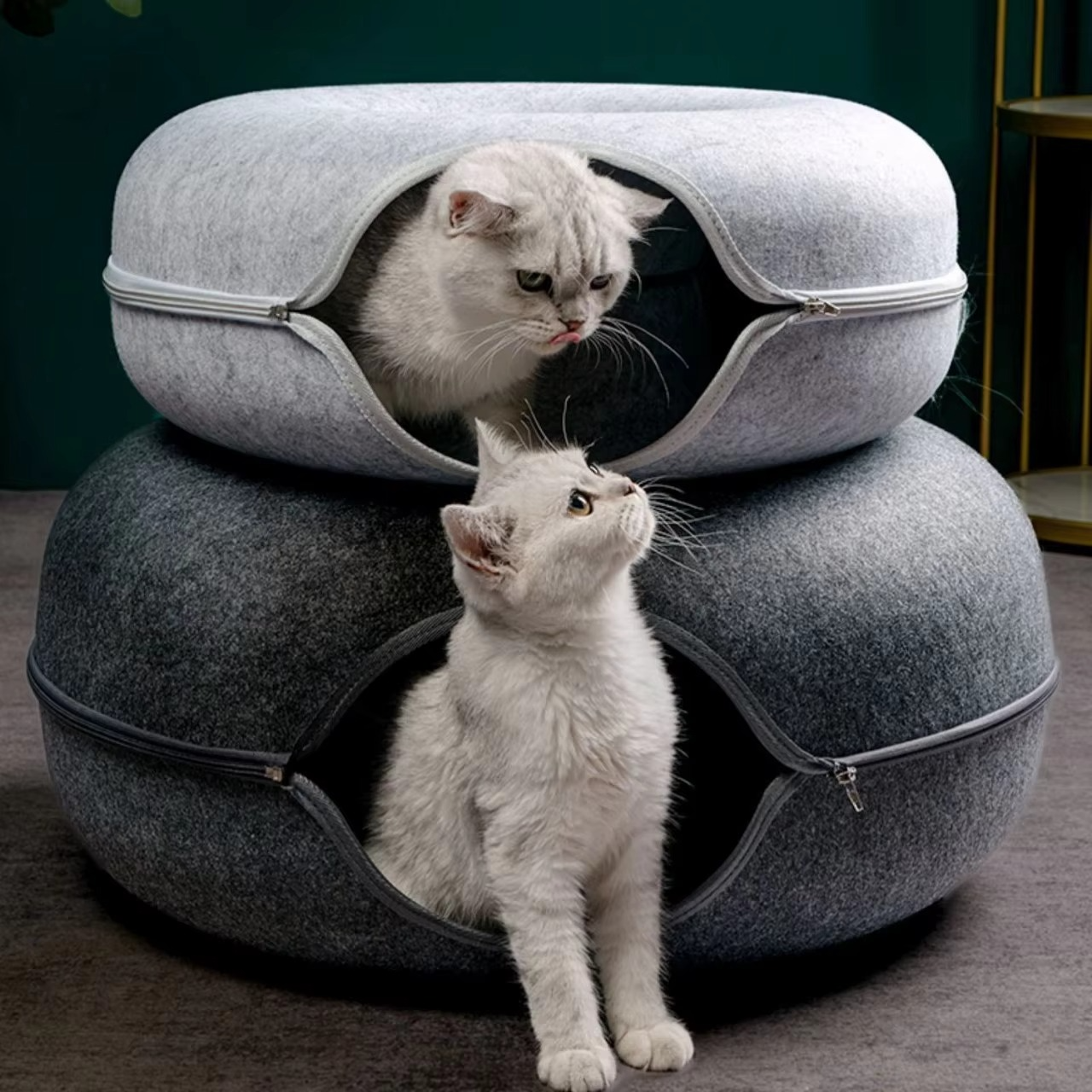Lit tunnel pour chat – Niche en forme de donut résistante aux rayures, pliable et lavable