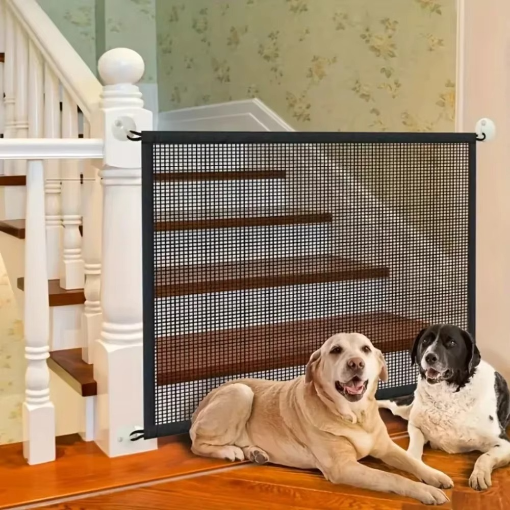 Jouet pour chien Senrusa – Ventouse, balle distributrice et entraînement à tirer