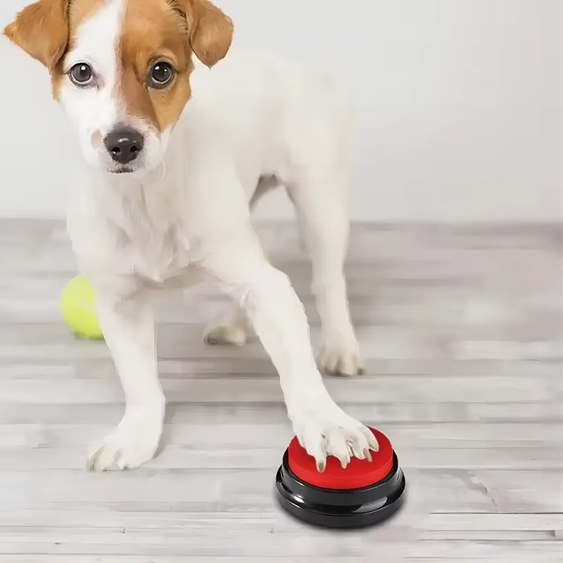 Bouton Vocal d’Entraînement pour Animaux – Enregistrement 30 Sec