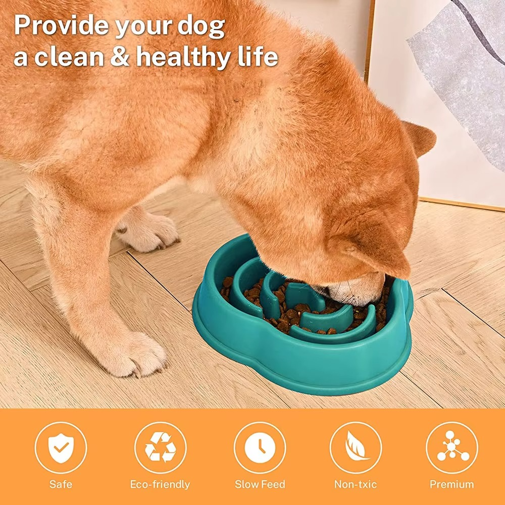 Gamelle Anti-Glouton pour Chien – Antidérapante, Alimentaire & Facile à Nettoyer