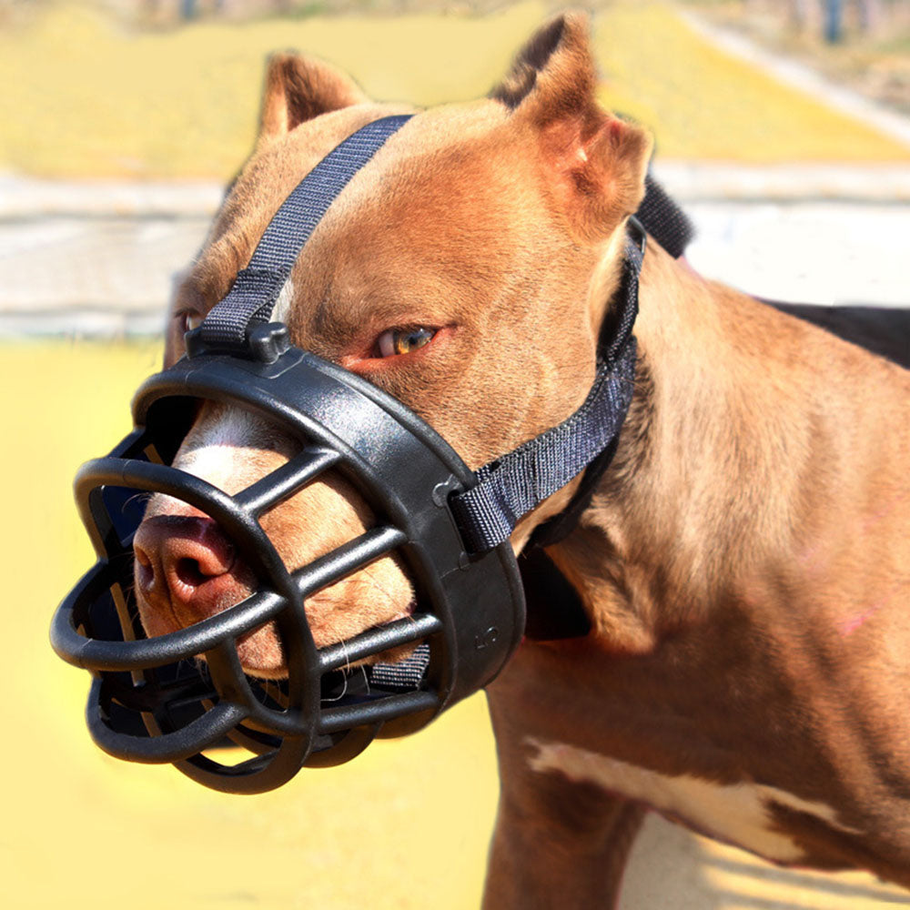 Muselière en caoutchouc de qualité supérieure pour une discipline canine efficace.