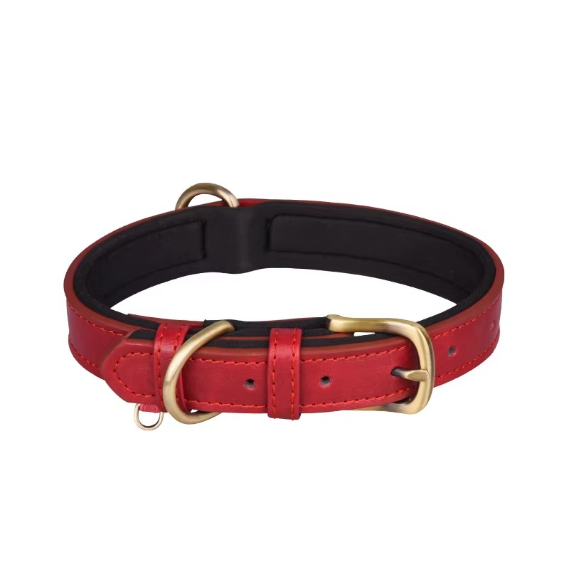 Collier pour Chien en Cuir – Réglable, Rembourré et Résistant avec Anneau en D