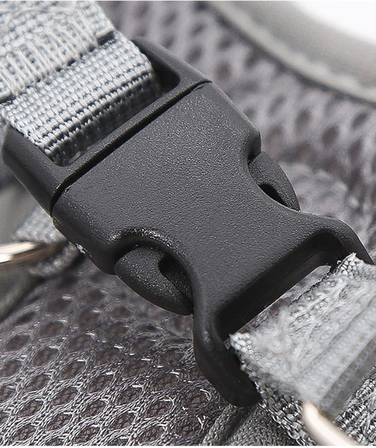 Harnais et laisse pour chien - Ajustement personnalisable