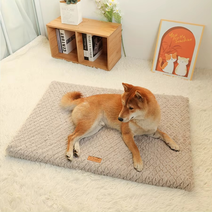 Lit pour Chien en Peluche – Doux, Lavable & Antidérapant