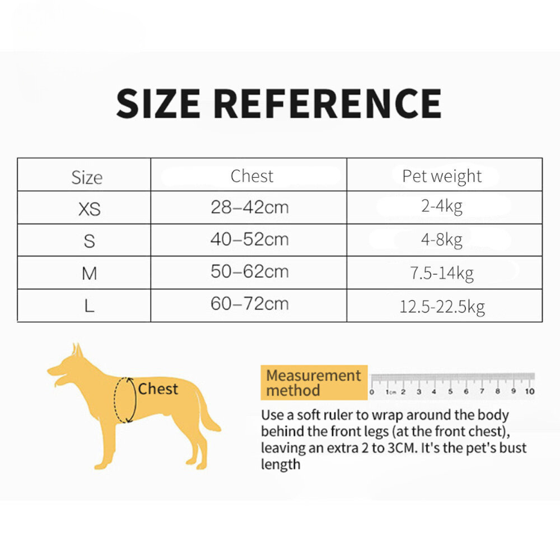 Harnais et laisse pour chien - Ajustement personnalisable