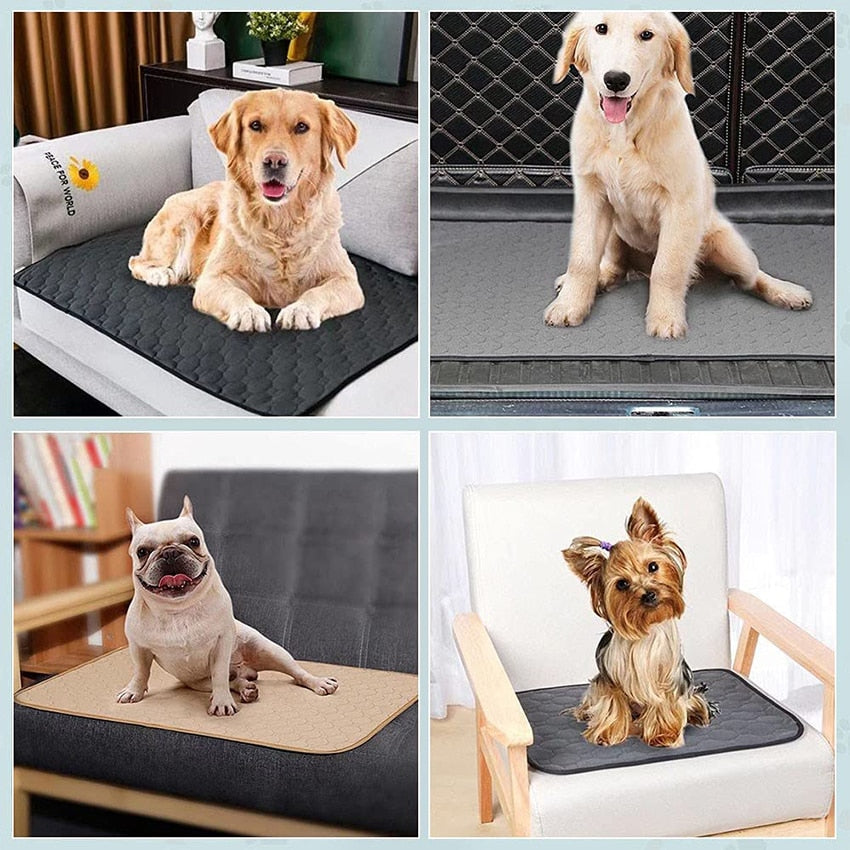 Dog Training Absorbent Pad Washable Urine Mat