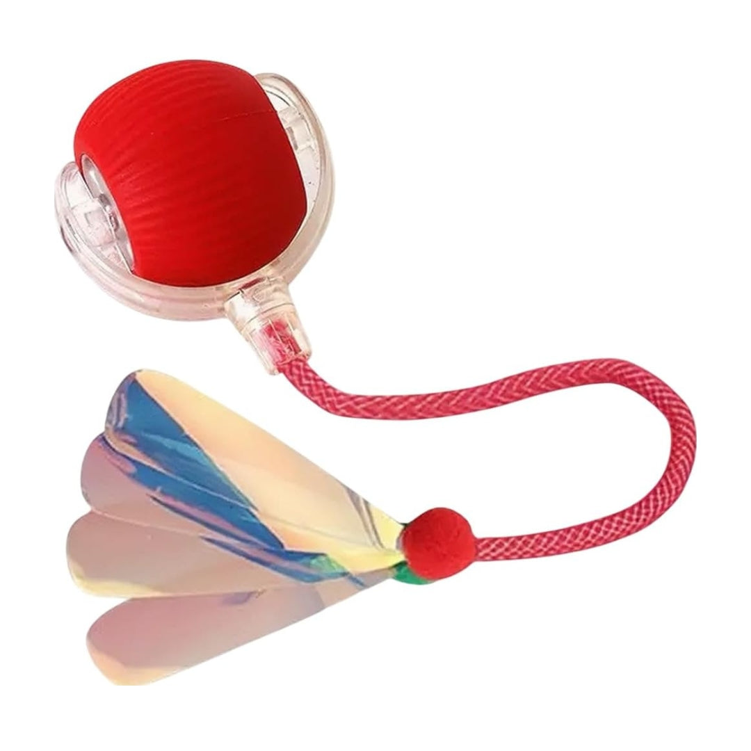 Interactive Rolling Ball for Cats and Dogs