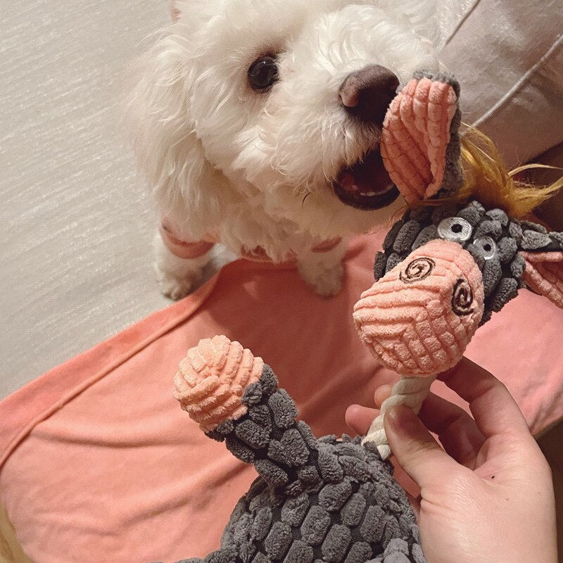 Jouet pour chien à mâcher - Forme d'âne