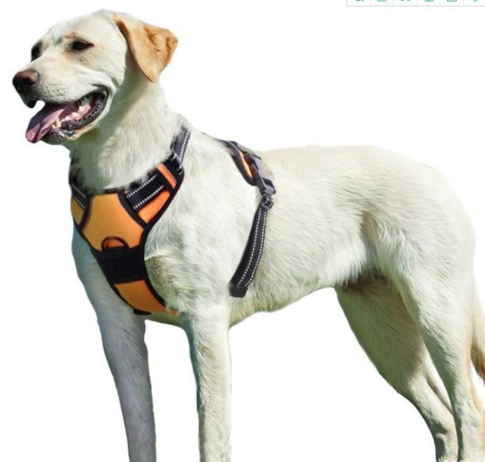 Harnais pour chiens de taille grande