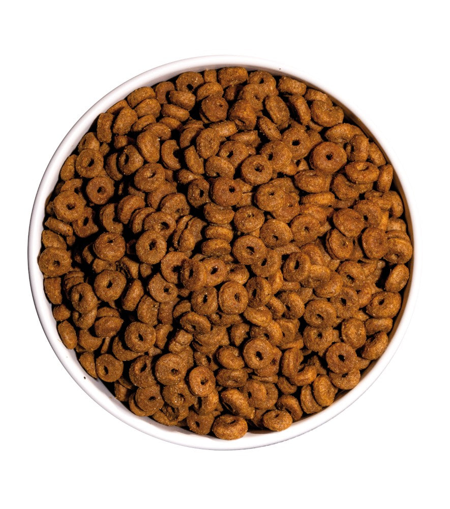 OWNAT CLASSIC DAILY CARE - For Adult Cats (1.5kg,4kg,15 kg)