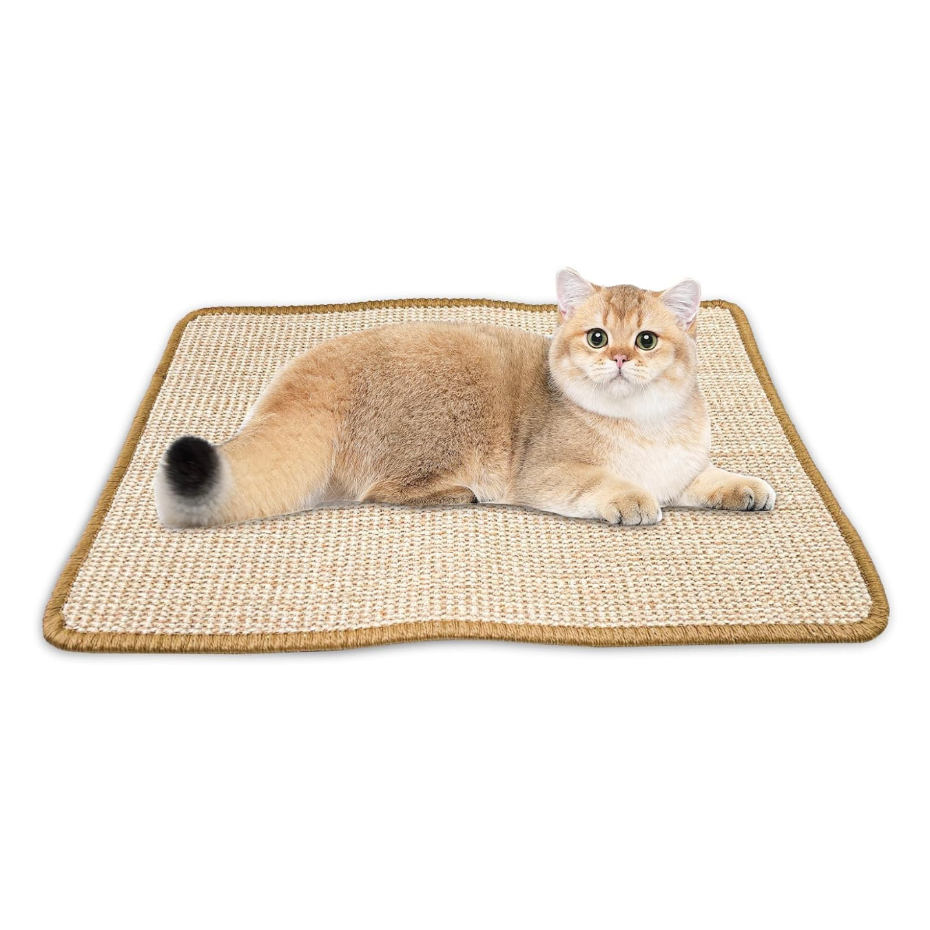 Cat Bed + Scratching Mat Set